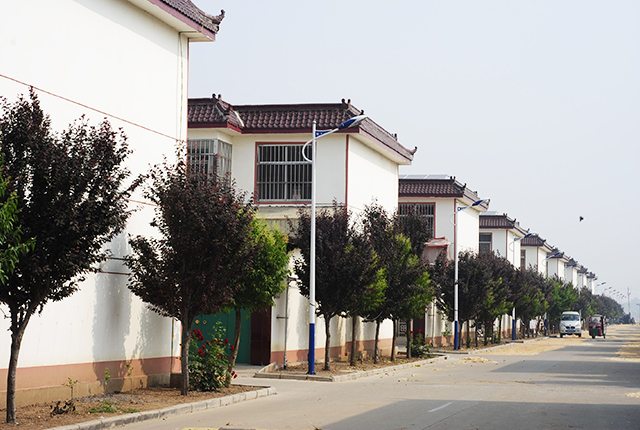 新農(nóng)村道路LED路燈照明