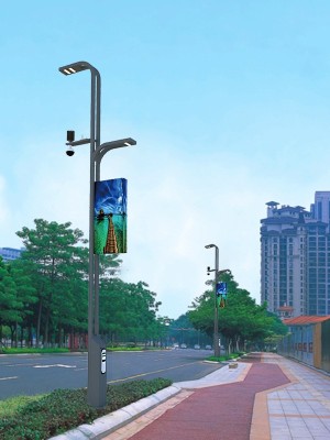 LED智慧路燈ZX7012