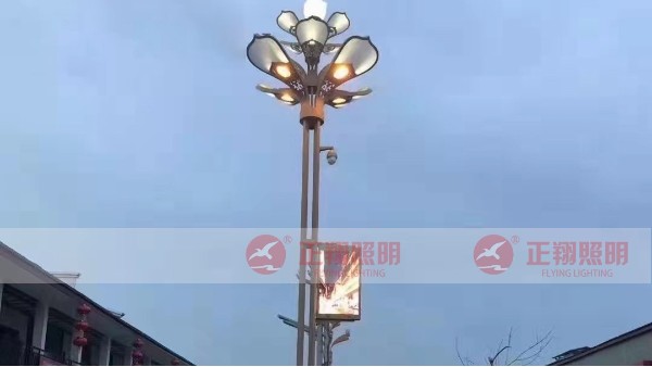 四川宜賓小區(qū)景觀(guān)智慧路燈安裝