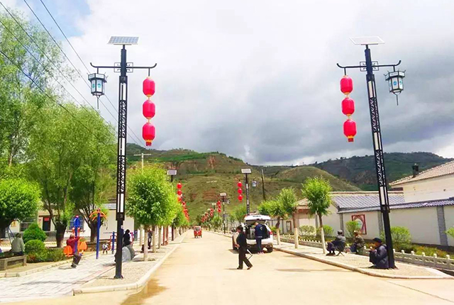 新農(nóng)村太陽(yáng)能路燈