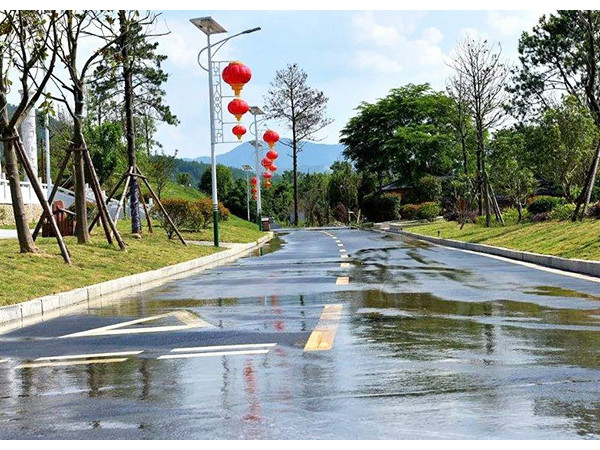新農(nóng)村太陽能路燈廠家